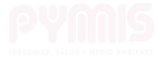 logo pymis blanco